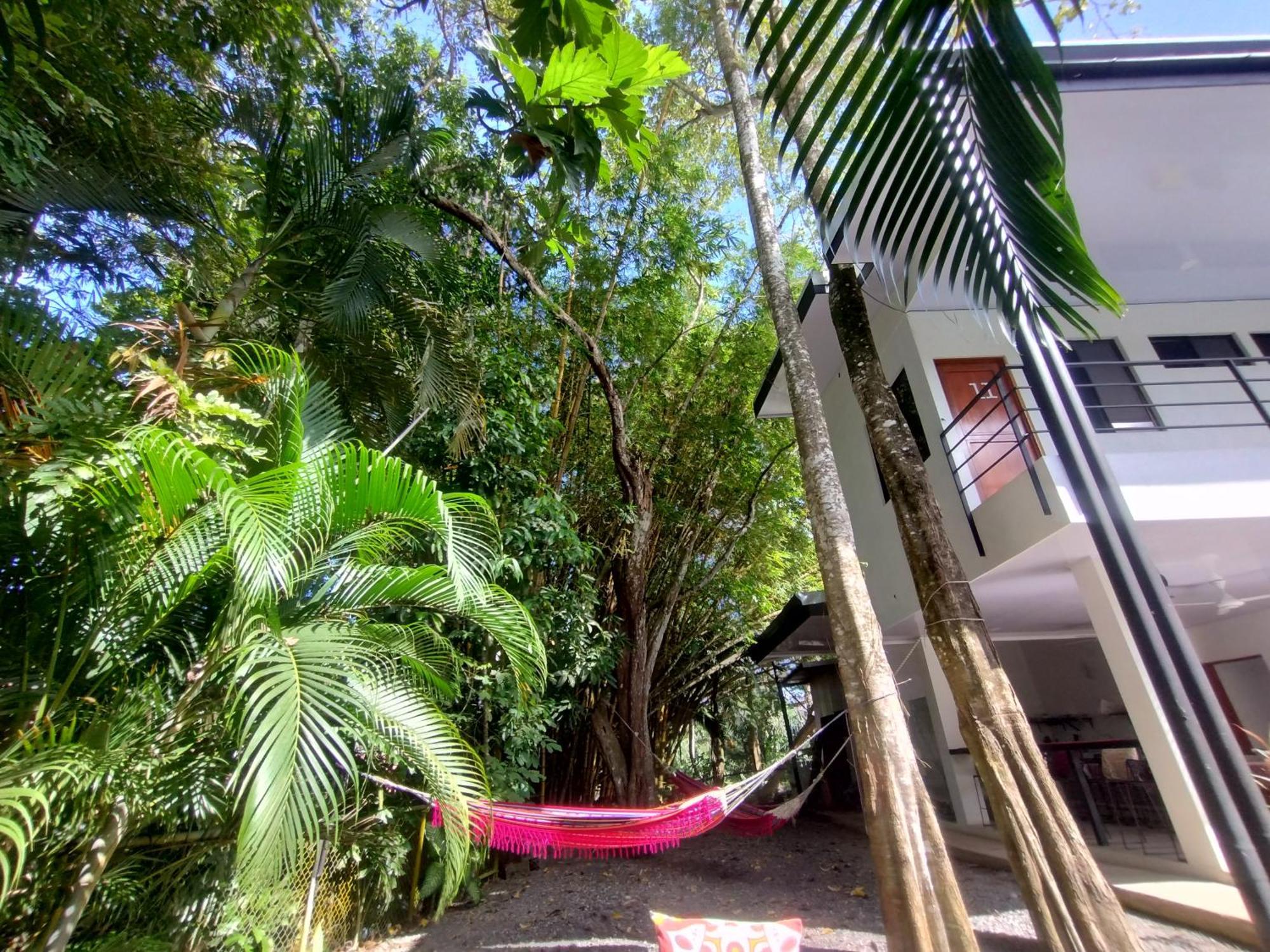 Casajungla Hostel Jacó Exteriör bild